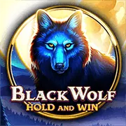 Youtube blue88 app